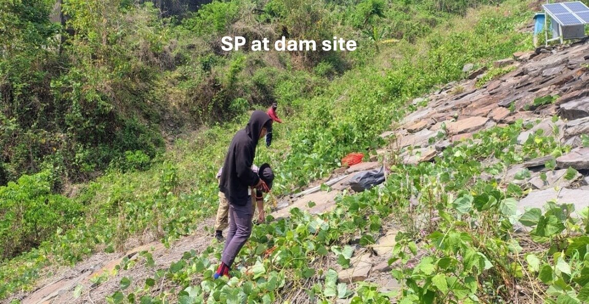 Slide 6